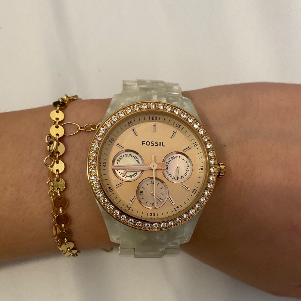 Fossil Abalone Shell Watch